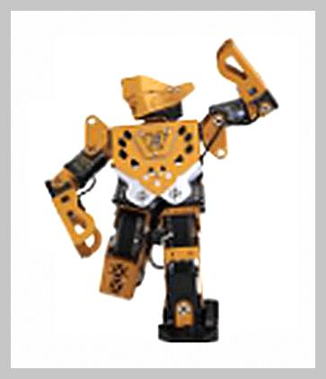 郑州VIP青少儿编程培训