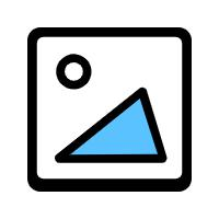改革新政