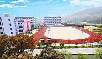 杭州仁和外国语学校风光