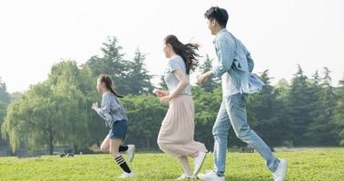 科学规律