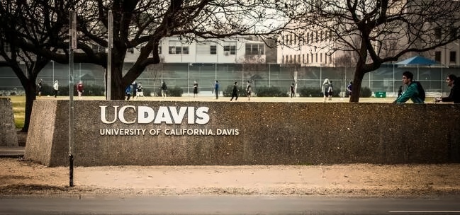 北京四中国际课程佳莲校区录取院校