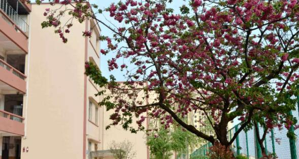 截图_20211116125516