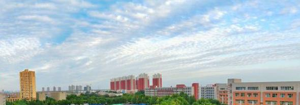 河北工业职业技术大学单独招生历年录取分数线一览表(2023参考)