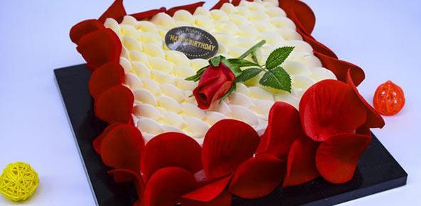 生日蛋糕裱花课程