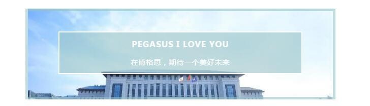 博格思加州学校