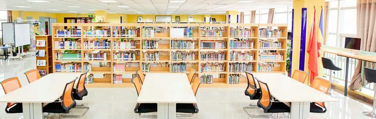 合肥高新中加学校地址在哪里