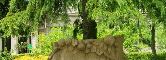 南京市金陵中学2020年招生计划