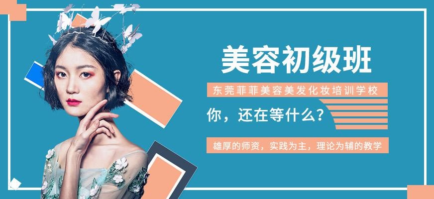 美容初级班