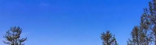 西安电子科技大学排名(全国) 西安电子科技大学在陕西排名