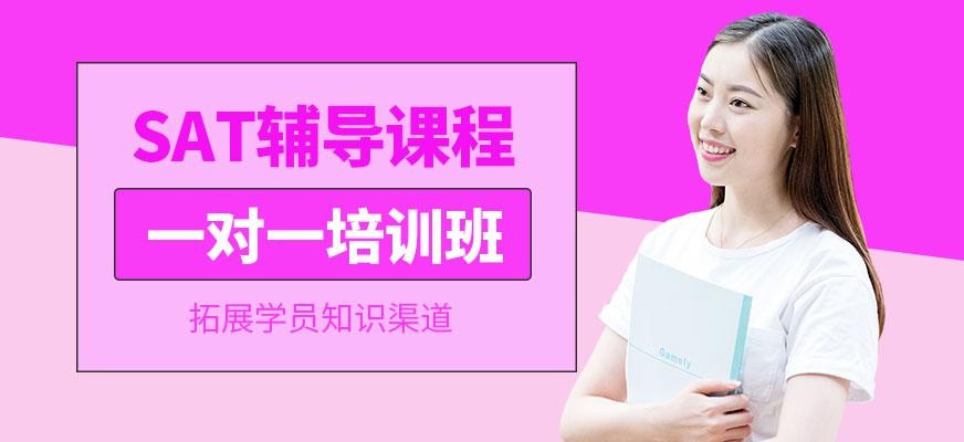 sat在线课程培训