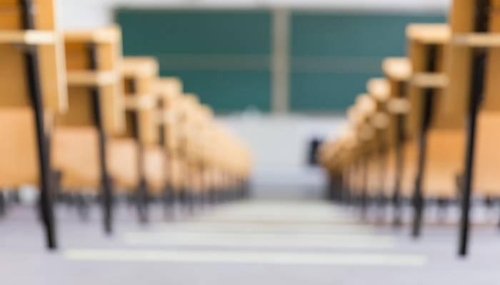 上海新纪元双语学校课程