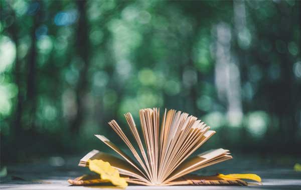 项目学习和办理