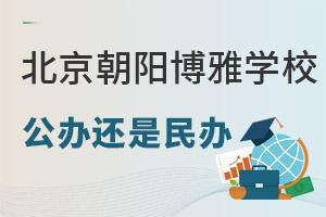 北京朝阳博雅学校是公办还是民办