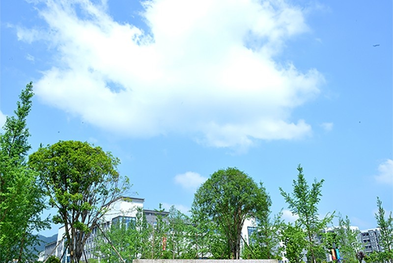 重庆商务职业学院