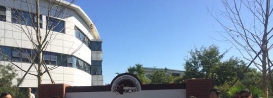 北京海淀国际学校小学部2023年招生简章