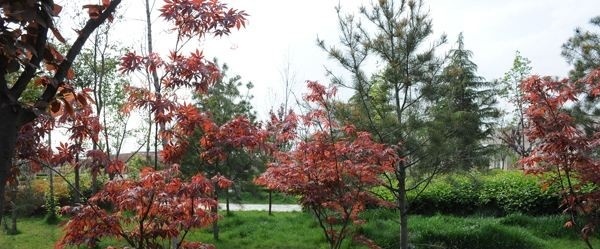 西安铁路局宝鸡职工培训基地