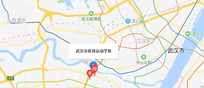 武汉体育运动学校