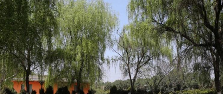 六安市天河职业中专学校