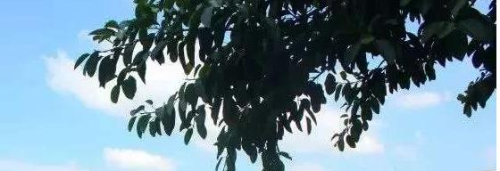 西安第七十六中学