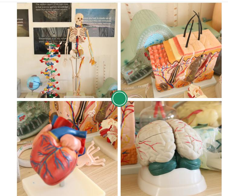 昆明青苗国际学校