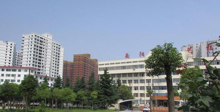 南阳文化艺术学校
