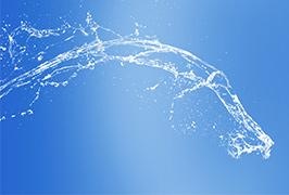 水动力型