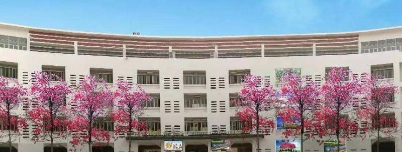 深圳桃源居中澳实验学校地址在哪里