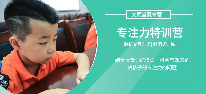 专注力训练夏令营