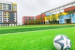 威海青苗国际双语学校
