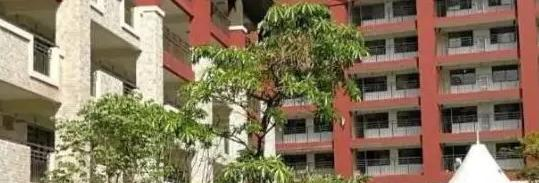 广州英国学校初中部2023年录取分数线