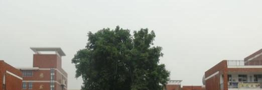 泾阳县泾干中学2020年招生简章