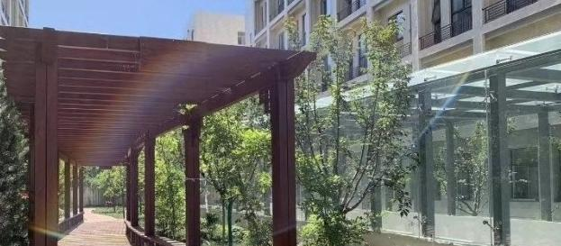 宝鸡石油中学网站