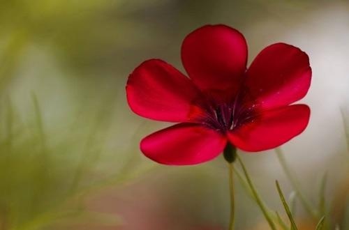 人要敢于表现自己