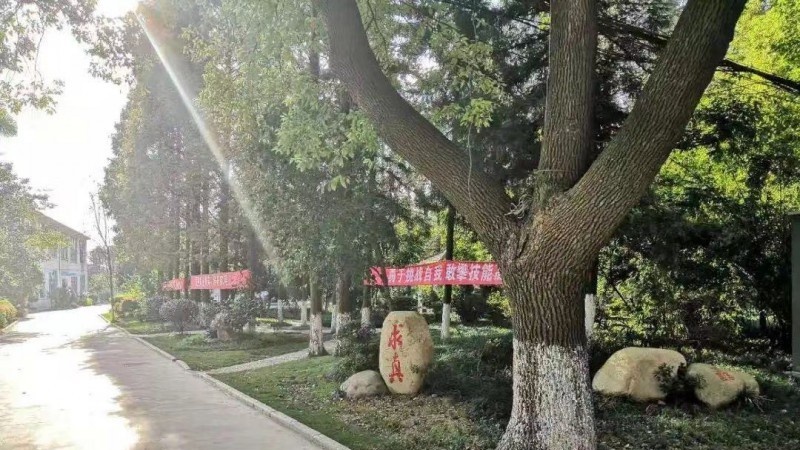 无锡协新技工学校