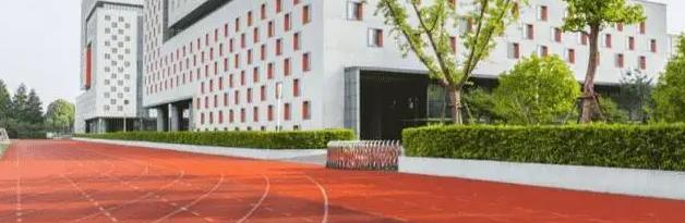 深圳蛇口国际学校小学部2023年课程体系