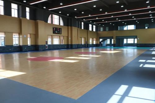 卡迪夫公学平湖学校