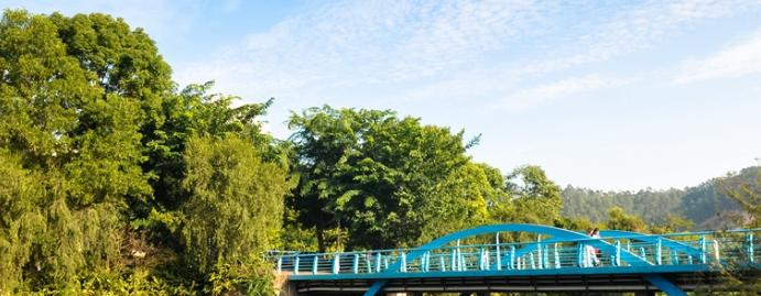 中山职业技术学院2020年学费、收费多少