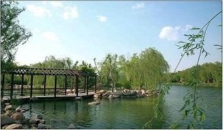 潍坊中学国际部