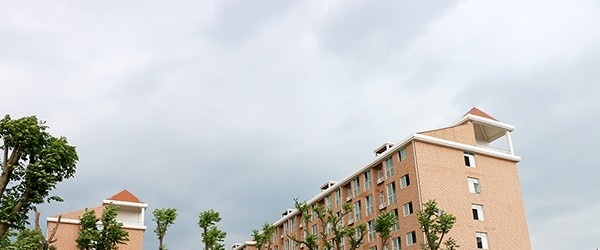 湖南九嶷职业技术学院2019年单招录取分数线