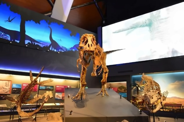 北京四中国际课程佳莲校区项目式教学-国家海洋博物馆游5