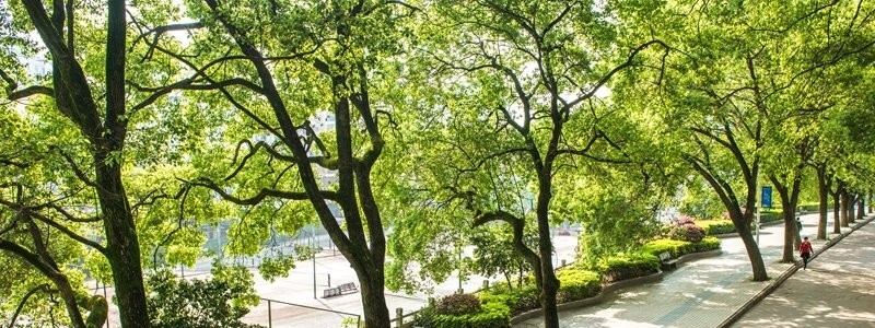 咸宁职业技术学院单招