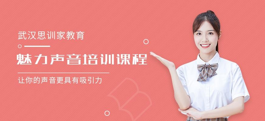 武汉声音培训
