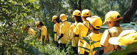 大别山红色教育