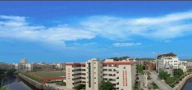 安岳实验中学(职教部)