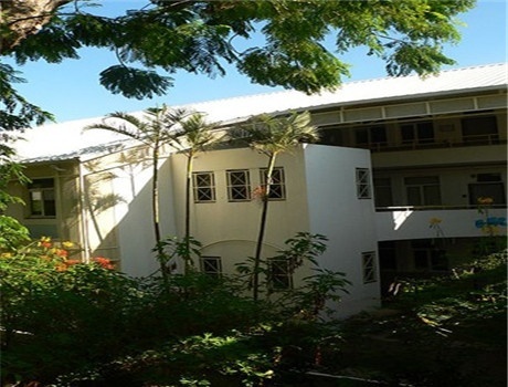 留尼汪大学