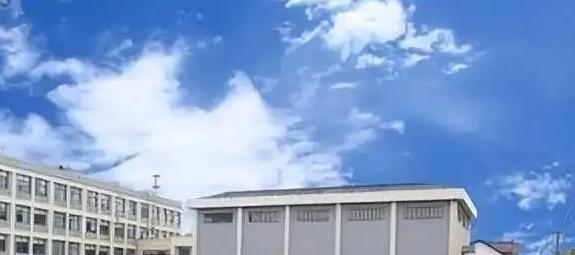 上海博华国际高中2023年录取分数线2