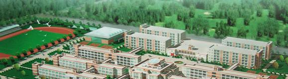合肥世界外国语学校小学部2020年招生简章