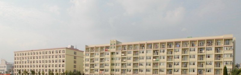 阜阳职业技术学院单招简章