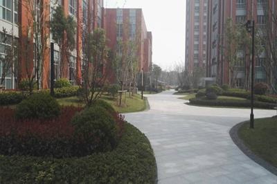 华师大二附中校园环境