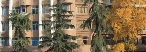 成都市盐道街中学网站 